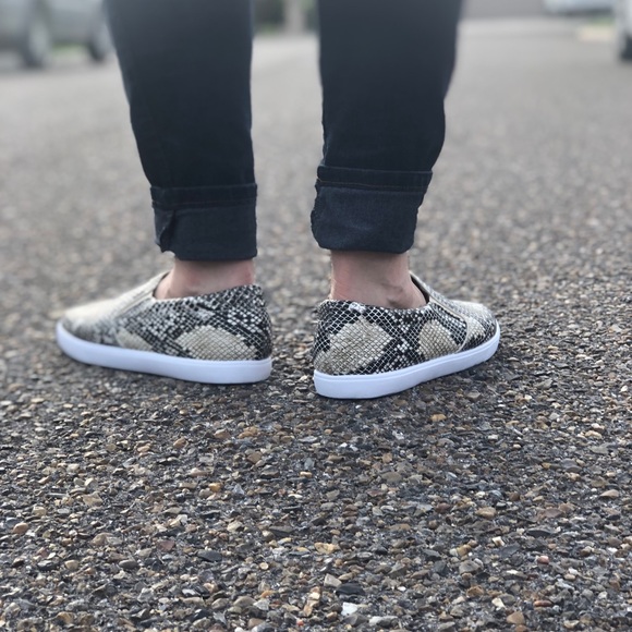 Snake Print Slip Ons - Picture 3 of 3